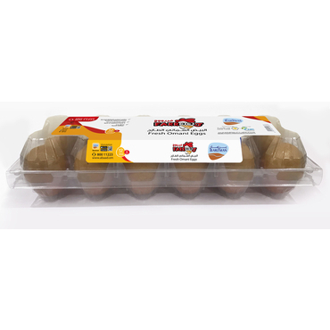 Barzman Egg Medium Brown 12s