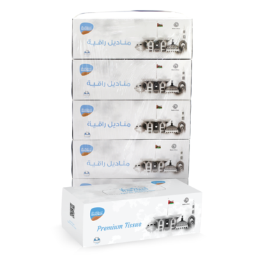 Barzman Premium Tissues Carton  30 Packs